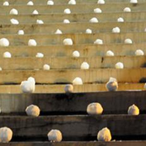 Snowballs On Steps (For David Hammons)